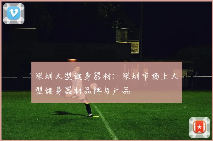 深圳大型健身器材:深圳市场上大型健身器材品牌与产品