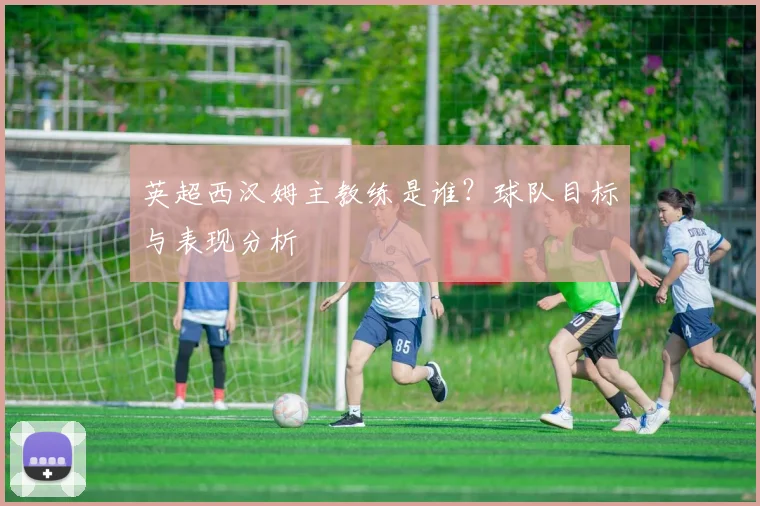 英超西汉姆主教练是谁？球队目标与表现分析